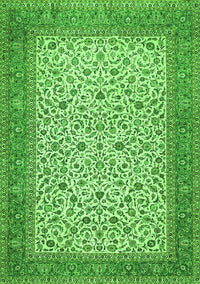Persian Green Traditional Rug, tr447grn