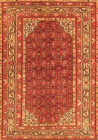 Persian Orange Traditional Rug, tr4483org