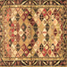 Square Persian Brown Traditional Rug, tr4484brn