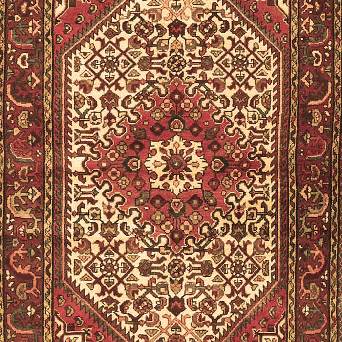 Machine Washable Medallion Brown Traditional Rug, wshtr4486brn