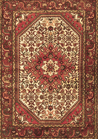 Medallion Brown Traditional Rug, tr4486brn