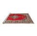 Sideview of Machine Washable Traditional Camel Brown Rug, wshtr4489