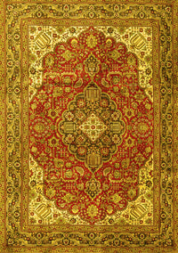 Medallion Yellow Traditional Rug, tr4490yw