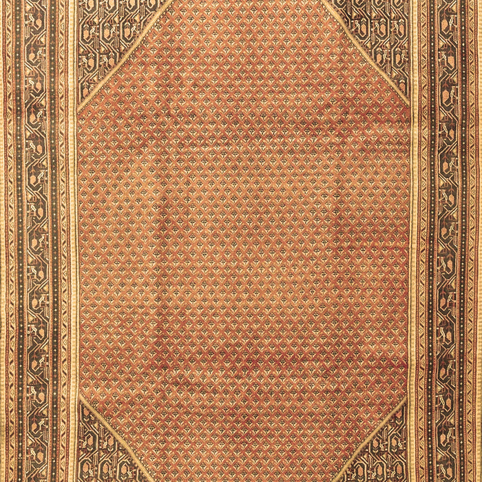 Persian Brown Traditional Rug, tr4491brn