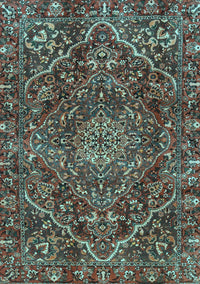 Persian Light Blue Traditional Rug, tr4493lblu