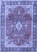 Machine Washable Medallion Blue Traditional Rug, wshtr4498blu