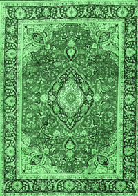 Medallion Emerald Green Traditional Rug, tr4498emgrn