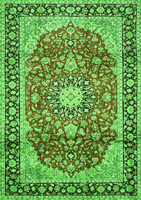 Medallion Green Traditional Rug, tr449grn