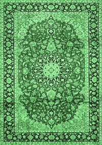 Medallion Emerald Green Traditional Rug, tr449emgrn