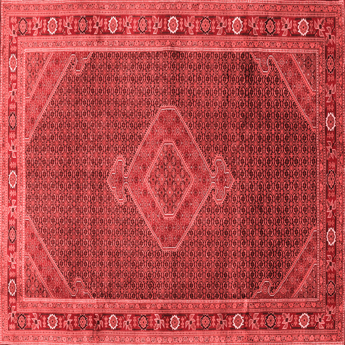 Medallion Red Traditional Rug, tr44red