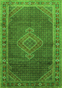 Medallion Green Traditional Rug, tr44grn