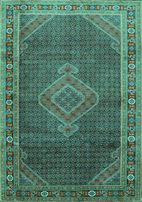 Medallion Turquoise Traditional Rug, tr44turq