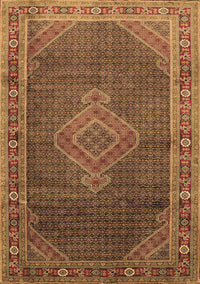 Medallion Brown Traditional Rug, tr44brn