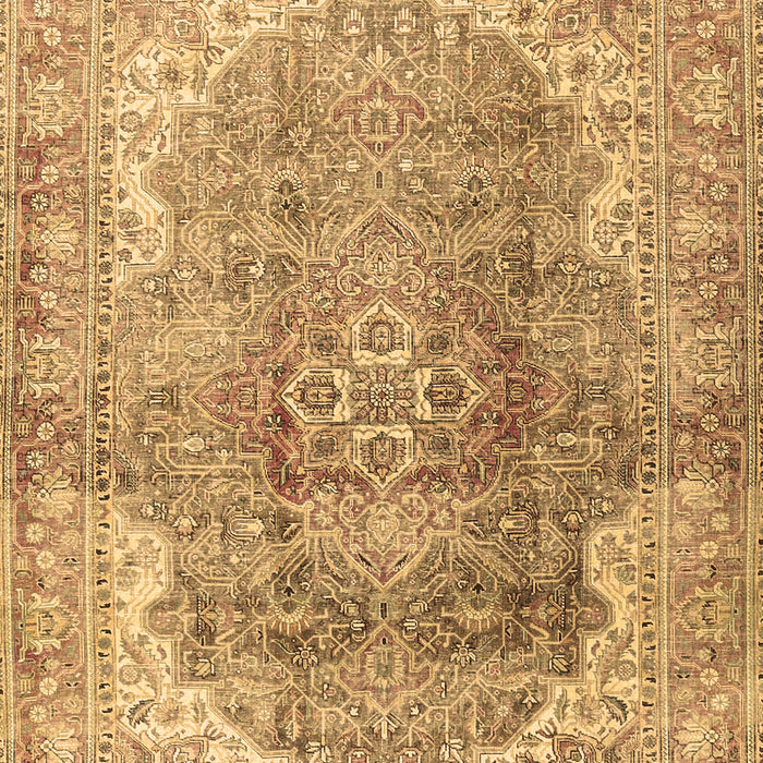 Medallion Brown Traditional Rug, tr4502brn