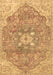 Medallion Brown Traditional Rug, tr4504brn