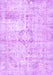 Persian Purple Traditional Rug, tr4506pur