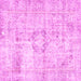Square Persian Pink Traditional Rug, tr4506pnk