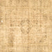 Square Persian Brown Traditional Rug, tr4506brn