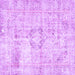 Square Persian Purple Traditional Rug, tr4506pur