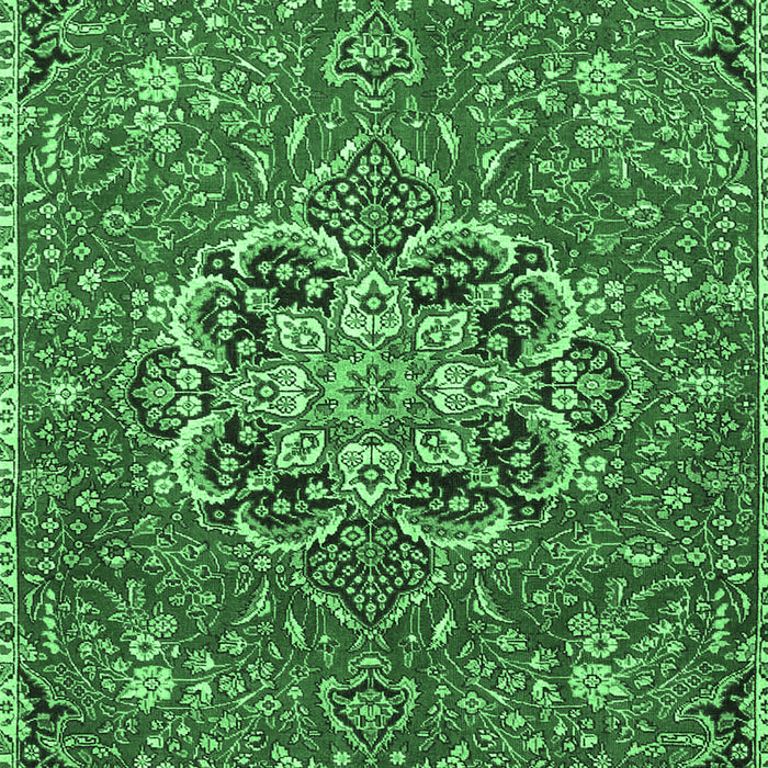 Medallion Emerald Green Traditional Rug, tr4510emgrn