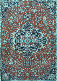 Medallion Light Blue Traditional Rug, tr4510lblu