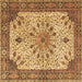 Square Persian Brown Traditional Rug, tr4514brn