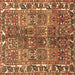 Square Persian Brown Traditional Rug, tr4516brn