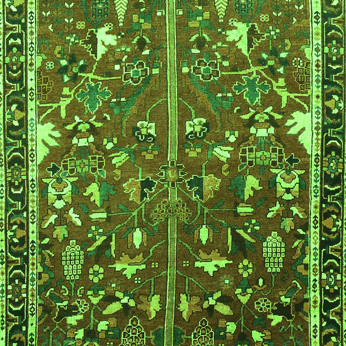 Animal Green Traditional Rug, tr4517grn