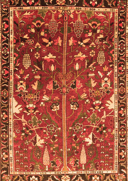 Animal Orange Traditional Rug, tr4517org