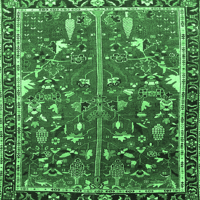 Square Machine Washable Animal Emerald Green Traditional Area Rugs, wshtr4517emgrn