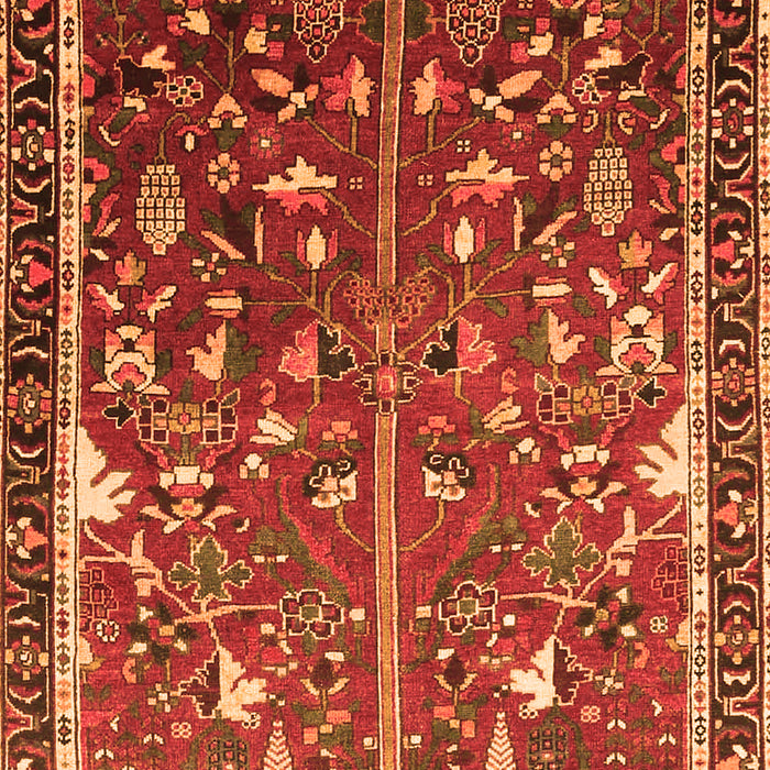 Serging Thickness of Machine Washable Animal Orange Traditional Area Rugs, wshtr4517org