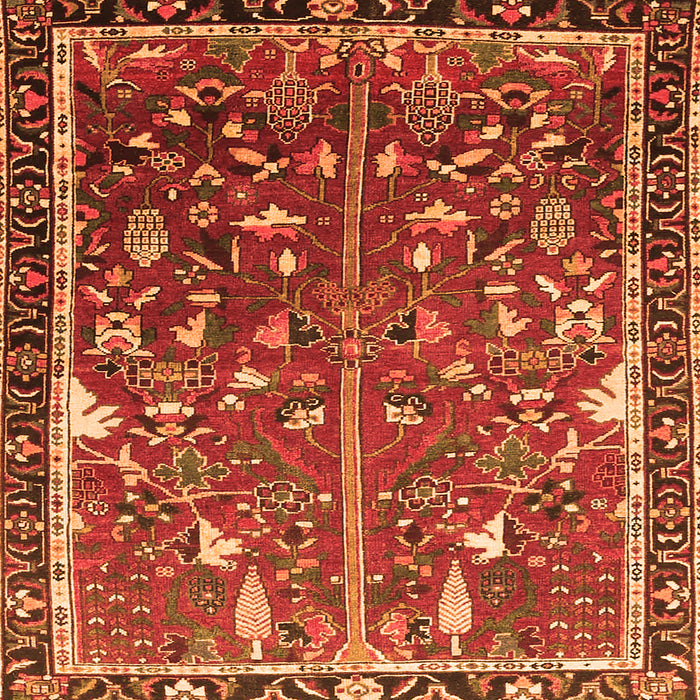 Serging Thickness of Animal Orange Traditional Rug, tr4517org