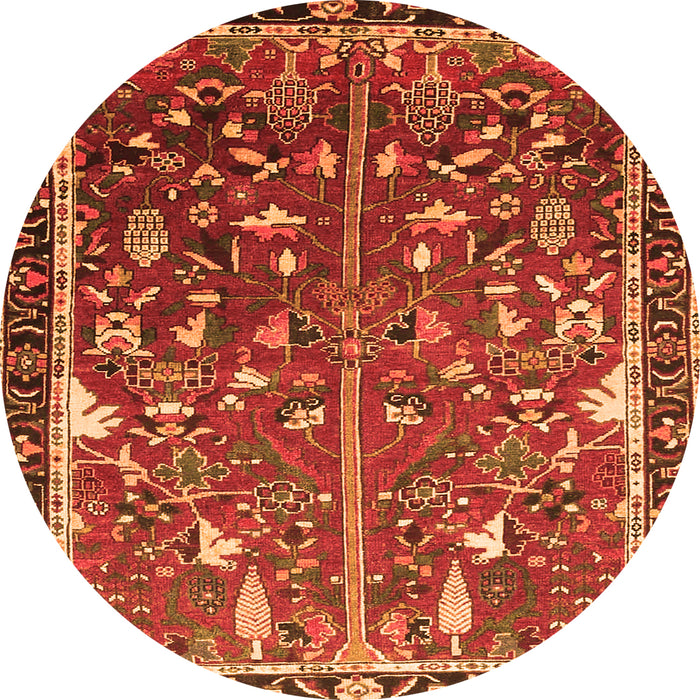 Square Animal Orange Traditional Rug, tr4517org