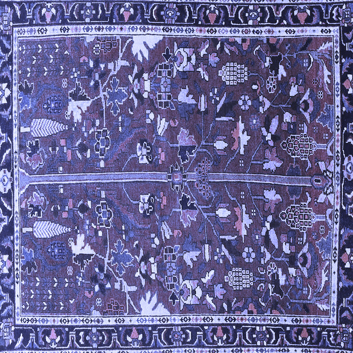 Square Machine Washable Animal Blue Traditional Rug, wshtr4517blu