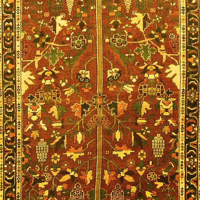 Animal Yellow Traditional Rug, tr4517yw