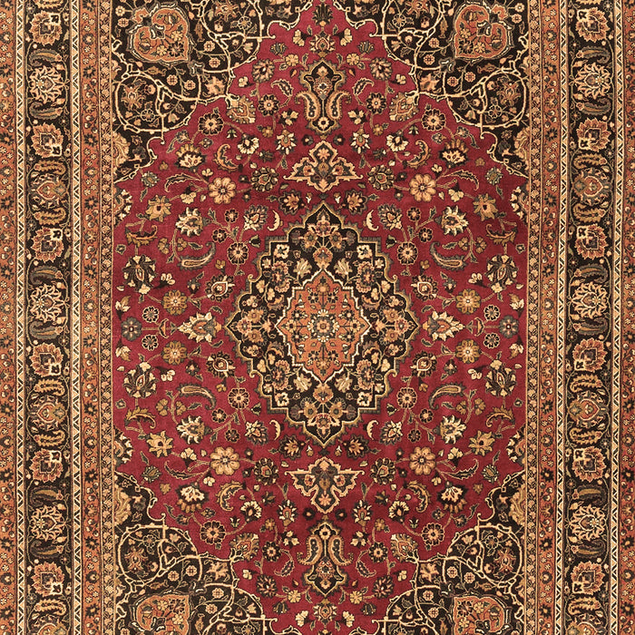 Medallion Brown Traditional Rug, tr4519brn