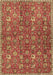 Persian Brown Traditional Rug, tr4521brn