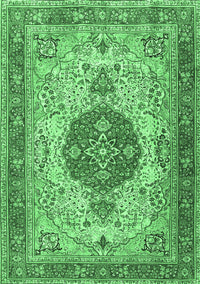 Medallion Emerald Green Traditional Rug, tr4522emgrn