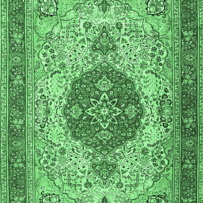 Medallion Emerald Green Traditional Rug, tr4522emgrn