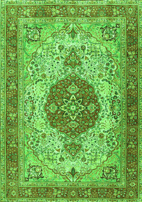 Medallion Green Traditional Rug, tr4522grn