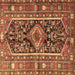 Square Machine Washable Persian Brown Traditional Rug, wshtr4524brn