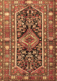 Persian Brown Traditional Rug, tr4524brn