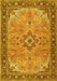 Medallion Yellow Traditional Rug, tr4530yw