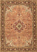 Medallion Brown Traditional Rug, tr4530brn