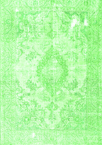 Persian Green Traditional Rug, tr4533grn