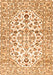 Persian Orange Traditional Rug, tr4540org