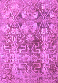 Persian Purple Traditional Rug, tr4543pur