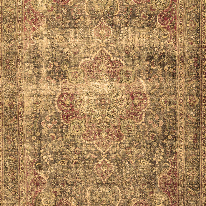 Medallion Brown Traditional Rug, tr4547brn
