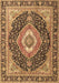 Medallion Brown Traditional Rug, tr4548brn