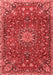 Medallion Red Traditional Area Rugs